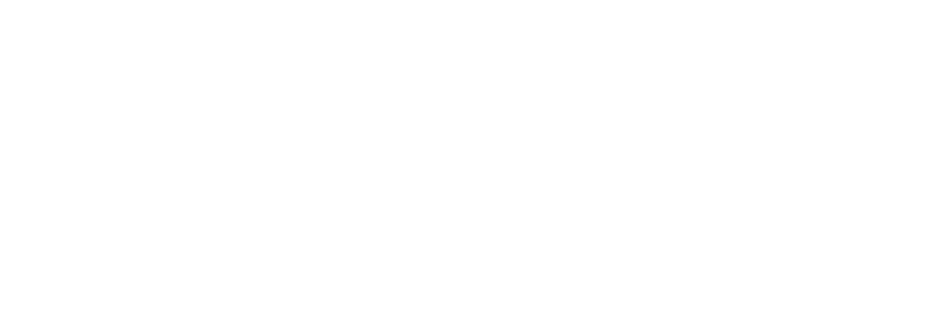 BOR 812